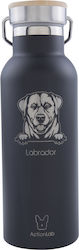 Sticla termos Actionlab Baboo Bottle Black Labrador 500ml Negru Sticla termos Actionlab Baboo Bottle Black Labrador 500ml Negru