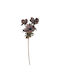 Anemone Artificial Flower, 56cm, Brown