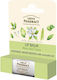Green Pharmacy Balsam De Buze Aloe Și Lime 3.6gr
