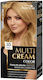 Joanna Multi Cream Color Paint No. 30.5 Sunny B...