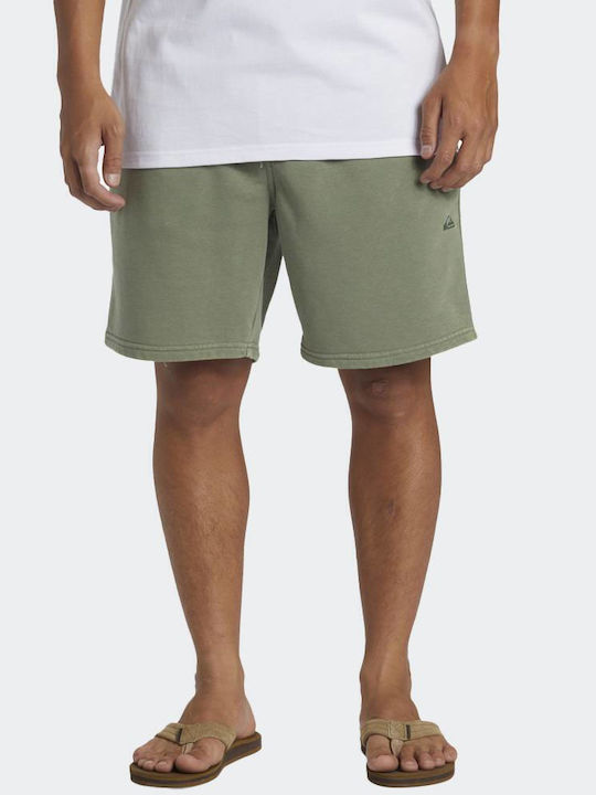 Quiksilver Salt Water Sportliche Herrenshorts Grün