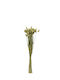 Kaemingk Dried Plant Green 55cm 1pcs