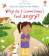 Why Do I (sometimes) Feel Angry?, Very First Questions and Answers