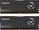 TeamGroup 48GB DDR5 RAM with 2 Modules (2x24GB) and 8200 Speed for Desktop