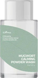 Isntree Mugwort Powder Wash 15g