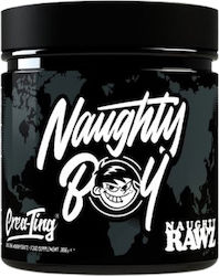 Naughty Boy Creat-Ting Монохидрат 306гр Naughty Boy Creat-Ting Монохидрат 306гр