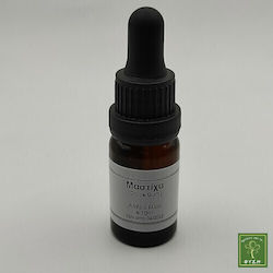 Mastic Essential Oil 10 Ml