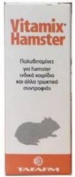 Tafarm Διατροφικό Συμπλήρωμα για Τρωκτικό 15ml Tafarm Διατροφικό Συμπλήρωμα για Τρωκτικό 15ml