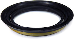 Oil Seal Car