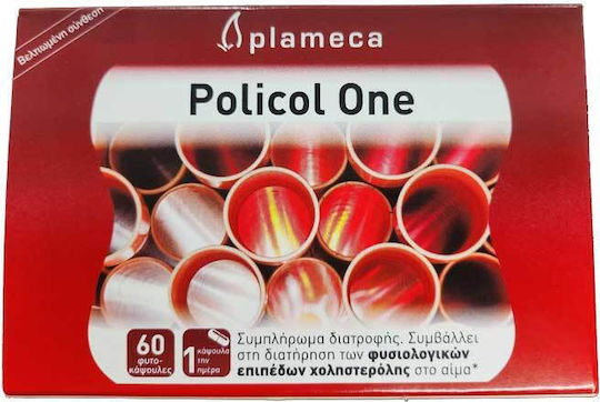 Plameca Ειδικό Συμπλήρωμα Διατροφής 60 κάψουλες χοληστερόλη