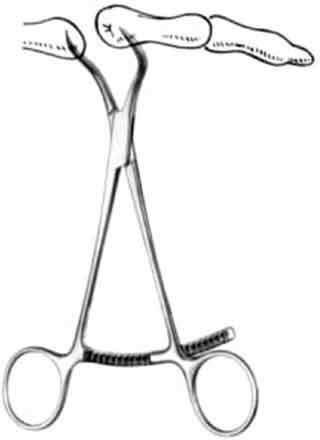 Hilbro Medical & Surgical Forcep 13.5cm