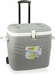 Hidalgo Gray Portable Fridge 41lt