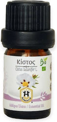 Essential Oil of Cistus (olive oil) Bio