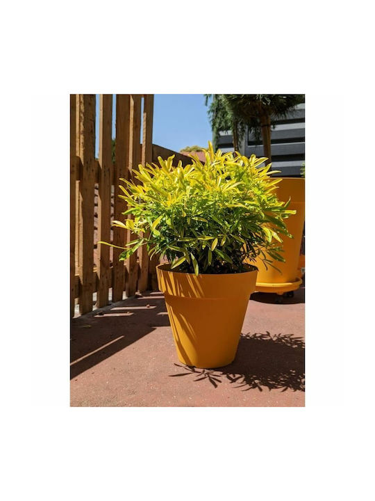 Riviera Flower Pot Yellow