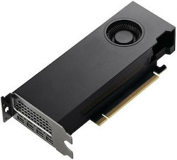 PNY RTX 2000 Ada 16GB cutie mică