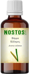 Nostos Pure Tinktur Acorus Calamus 100ml