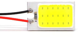 Lămpi Autoturismului T10 / T4W / W5W / BA9S / C5W / C3W / C10W / C21W / W16W / W3W Canbus LED 5500K Alb rece 12V 1buc