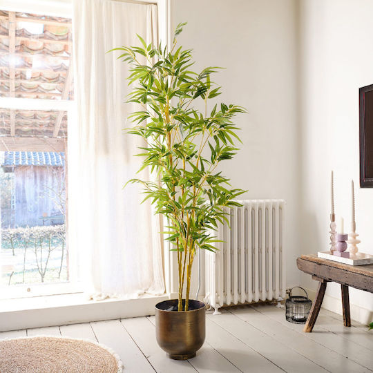 Bamboo in Potted Plant 55cm Kaemingk