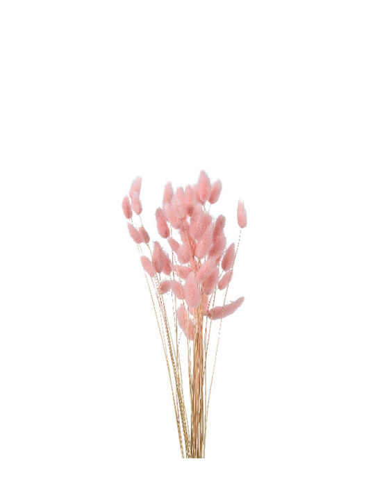 Kaemingk Dried Plant Pink 65cm