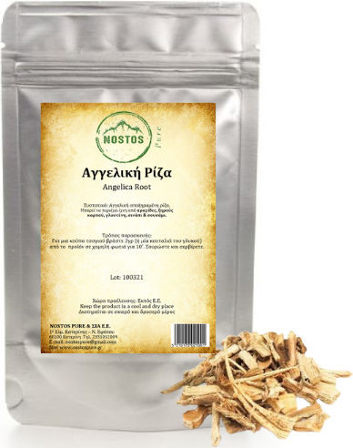 Angelica Root - Angelica Root 100g