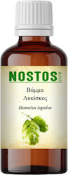 Nostos Pure Tincture Humulus Lupulus 50ml