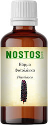 Nostos Pure Tincture Poke Root 50ml