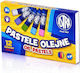 Astra Ölpastelle 12Farben