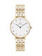 Daniel Wellington Petite Women's Watch with Gold Metal Bracelet