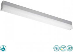 Spot Light Lumină De baie LED Gri Spot Light Lumină De baie LED Gri