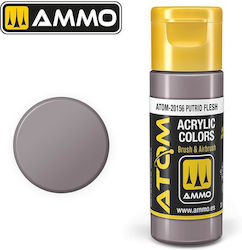 Ammo Culoare Modelism Putrid Flesh 20ml