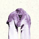 Europe Antlers Familiars xLP Vinyl