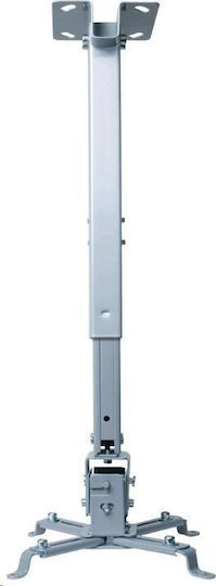 Pro-Ject Audio Projector Mount Ceiling with Maximum Load Capacity of 20kg Gray