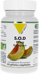 Vit'All+ S.O.D. 20mg 60 Capsules