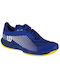 Wilson Men's Tennis Shoes for Clay Courts Blue