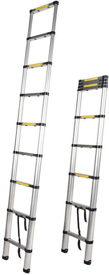 Teleskopische Leiter Aluminium 13 Stufen mit maximaler Höhe 3.81m Alustark 360.000.040.013