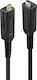 Lindy Cablu DVI-D - Micro HDMI de sex masculin 10m Negru (38320)