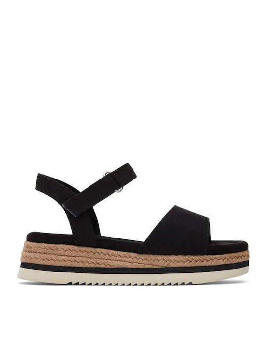 Toms Toms
