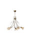 Klikareto Candelabru 5xE14 cu Cristale Bronz 100-03515