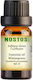 Αιθέριο Έλαιο Γωλθεριά - Wintergreen 100ml