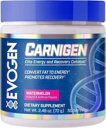 Evogen Carnigen с Карнитин 66гр