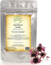 Nostos Pure Echinacea 100gr