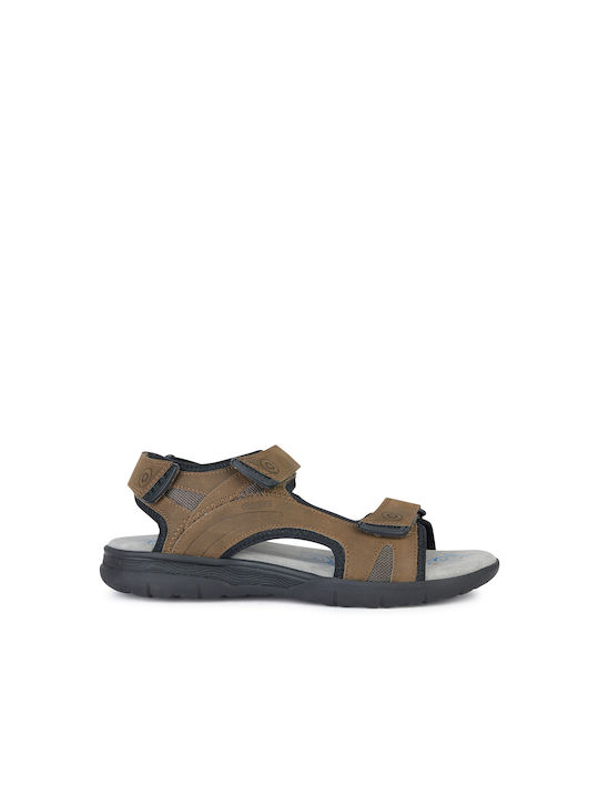 Geox Men's Sandals Brown