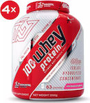 Immortal Nutrition 100% Whey Protein Whey Protein with Flavor White Chocolate & Strawberry 8kg