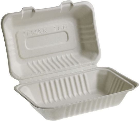 Leone Set von 100 Boxen 23x15cm