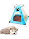 Pet Scene Dog
