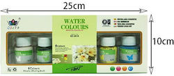 6pcs