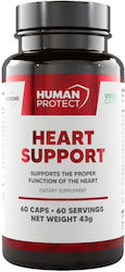 Human Protect Поддръжка На Сърцето 60 Капсули Human Protect Поддръжка На Сърцето 60 Капсули