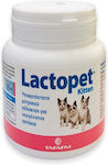 Tafarm Lactopet Milch Katze