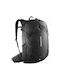 Rucksack Salomon Trailblazer 30l - Schwarz/Legierung