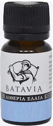 Batavia Ginger Root Oil Πιπερόριζα 9ml Batavia Ginger Root Oil Πιπερόριζα 9ml